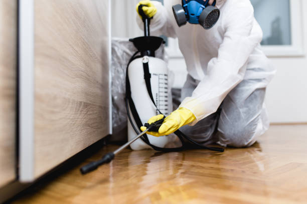 Best Wasp Removal Services  in Ransom Canyon, TX