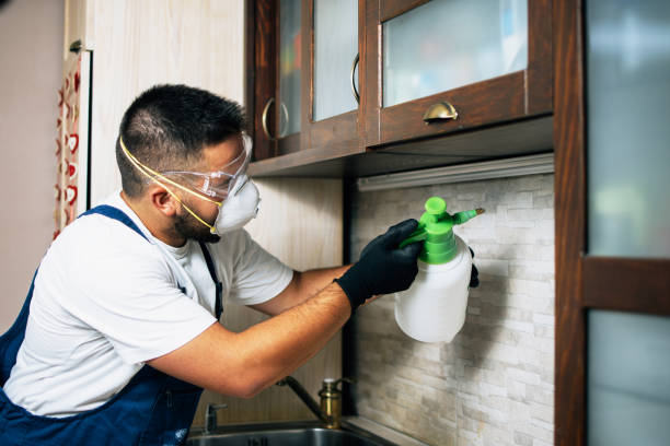 Best Mosquito Control Services  in Ransom Canyon, TX
