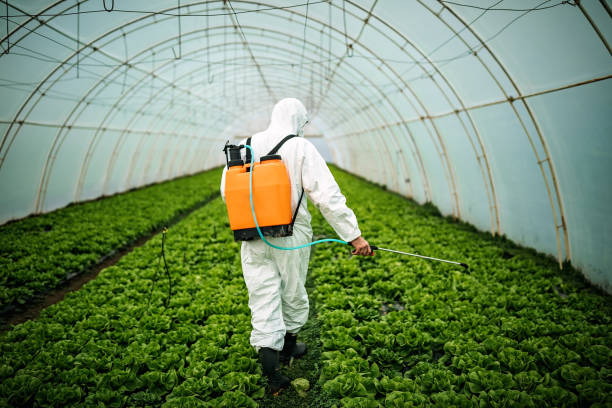 Best Local Pest Control Services  in Ransom Canyon, TX