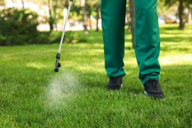 Best Best Pest Control Companies  in Ransom Canyon, TX