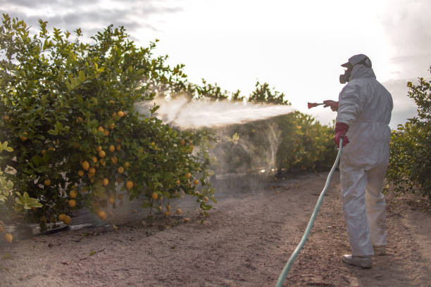 Best Affordable Pest Control Services  in Ransom Canyon, TX