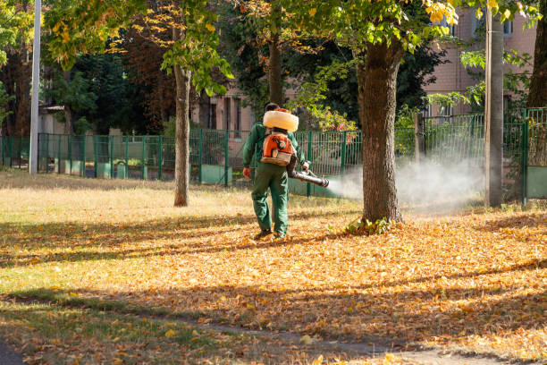 Best Residential Pest Control  in Ransom Canyon, TX
