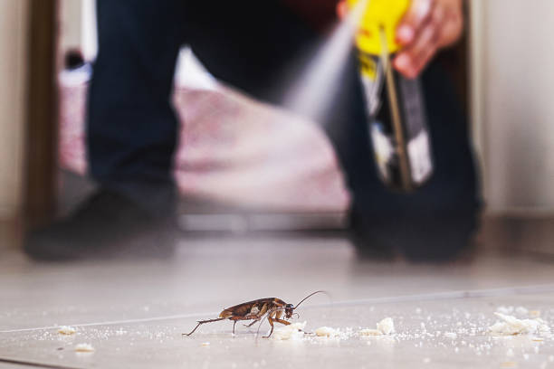 Professional Pest Control in Ransom Canyon, TX